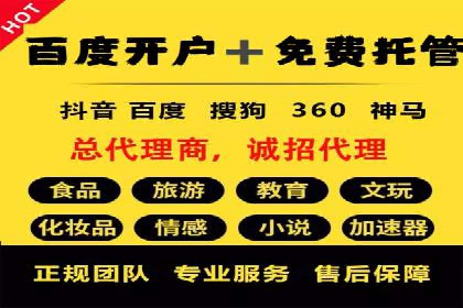 SEM推广实战：案例解析与策略探讨